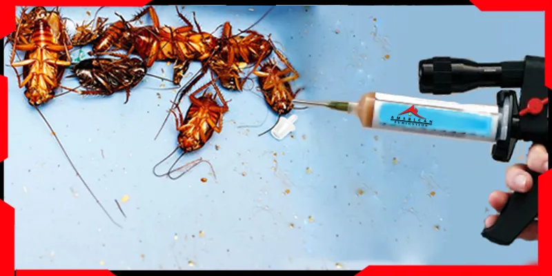 Cockroach Control in Karachi