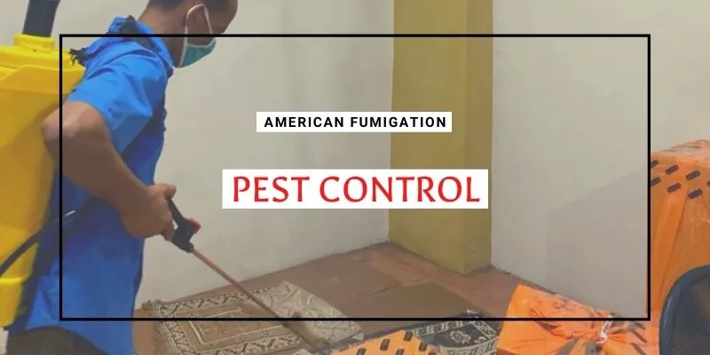 Pest Control