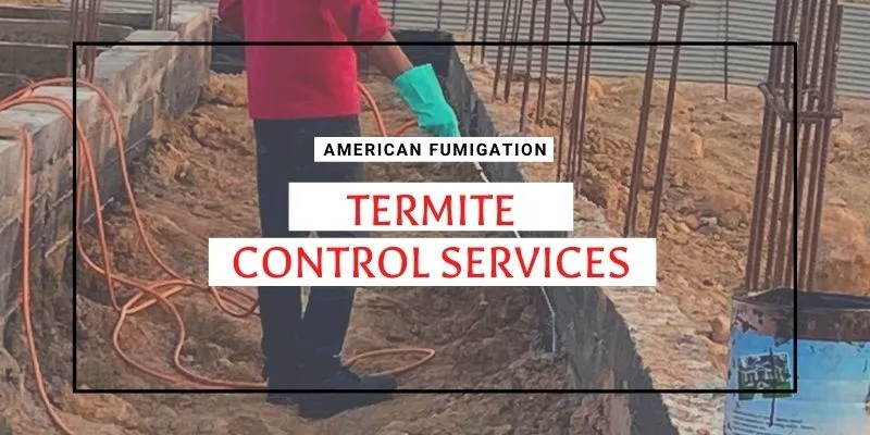 Termite Control Services