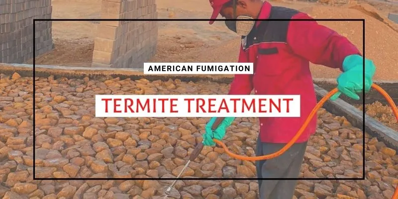 Termite Treatment