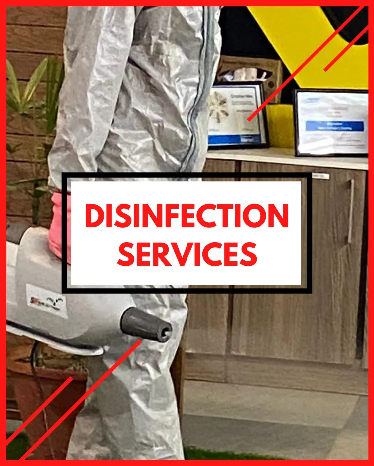 Disinfection Services