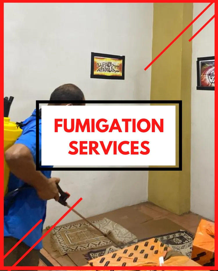 Fumigation Services