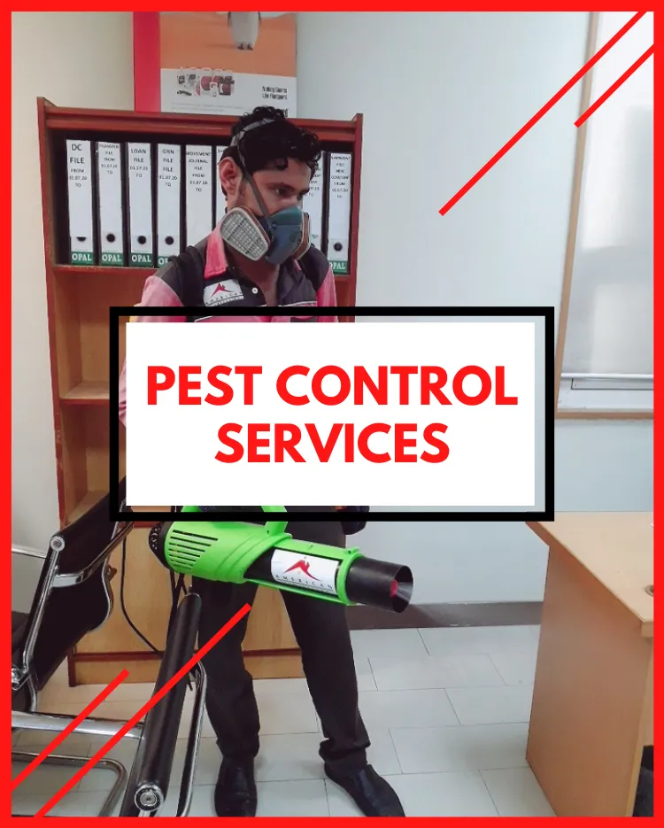 Pest Control Services