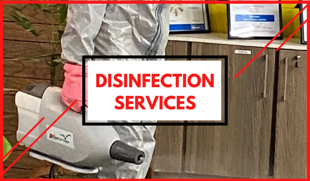 Disinfection Services