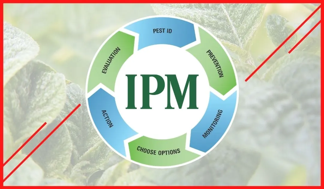 IPM