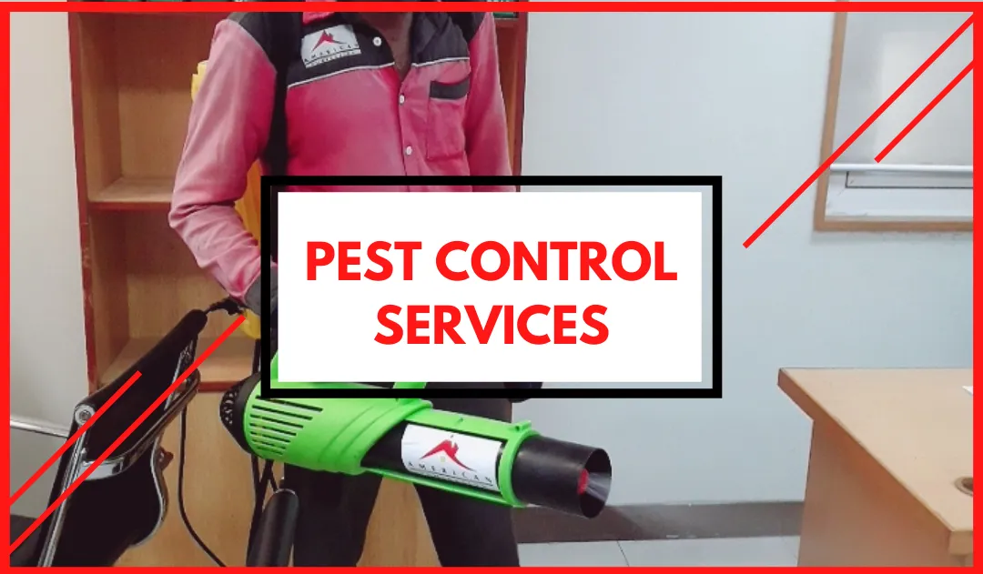 Pest Control Services