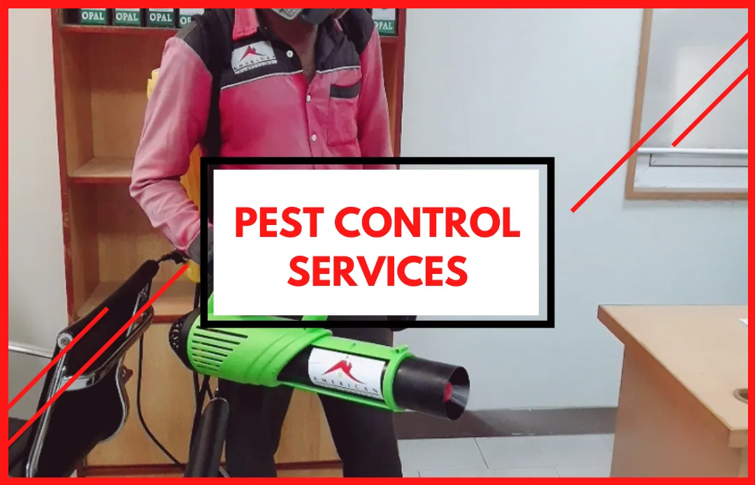 Pest Control Services