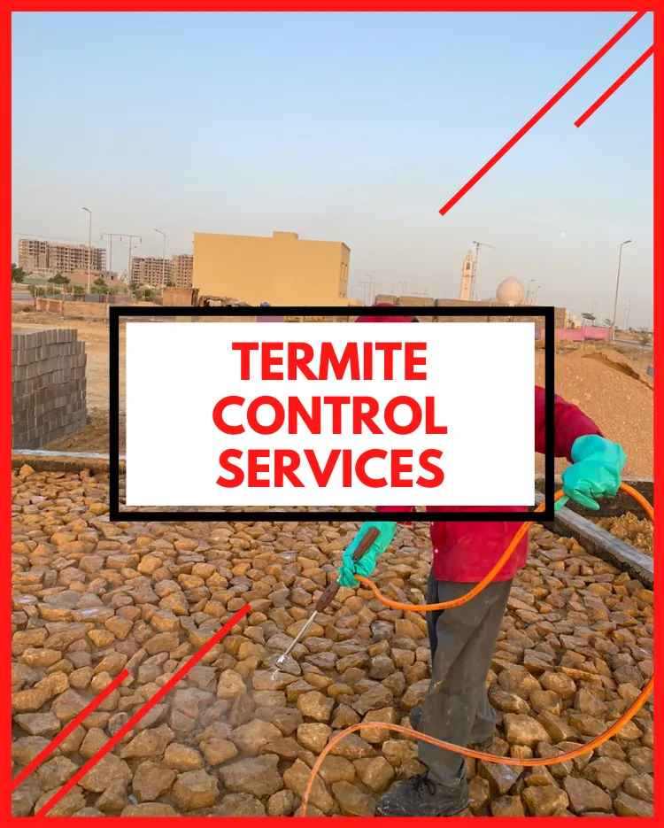 Termite Control